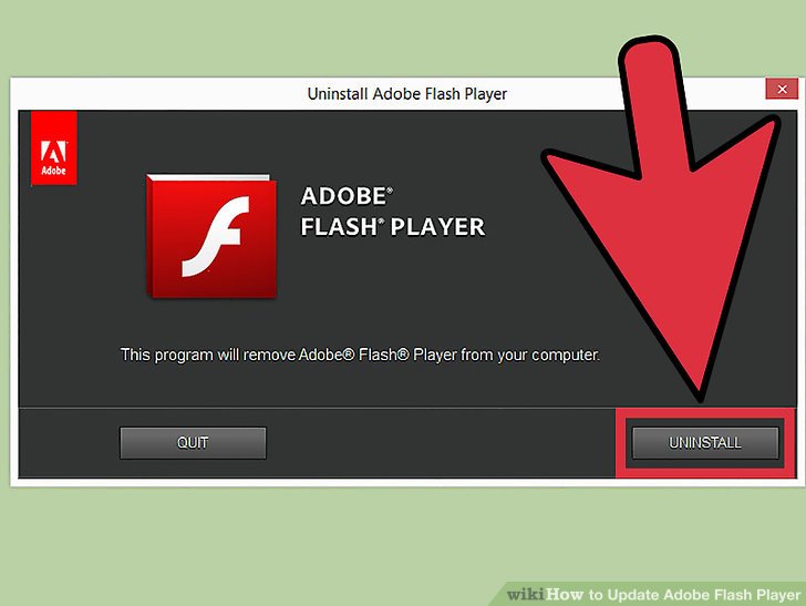 Adobe flash update check